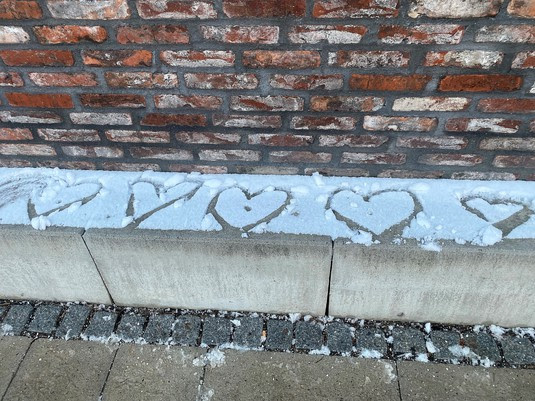 Hjælp Emilia van Hauen og os med at skabe årets generationskonference